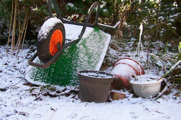 Guía para cultivar vegetales en invierno. Cómo preparar la huerta en invierno. Qué se puede sembrar durante el invierno?