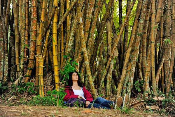 Guía para vacacionar haciendo turismo ecologico. Qué tener en cuenta para hacer ecoturismo. Viajar cuidando el medio ambiente