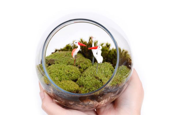 Elementos necesarios para hacer un terrario. Consejos para hacer terrarios en casa. Pasos para hacer un terrario simple