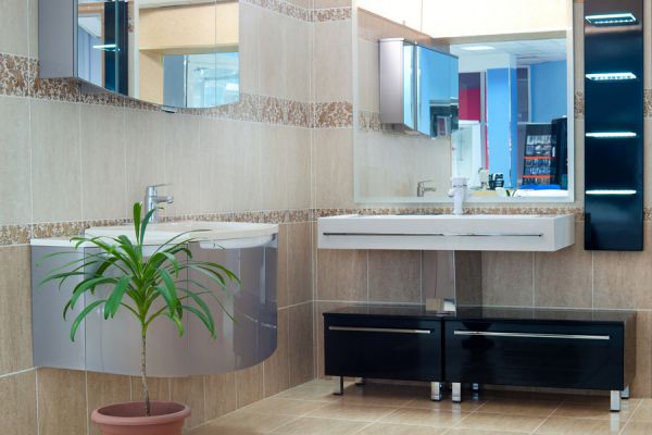 6 plantas ideales para colocar en el sanitario. Plantas para decorar el sanitario y lavadero. Qué plantas escoger para decorar un sanitario
