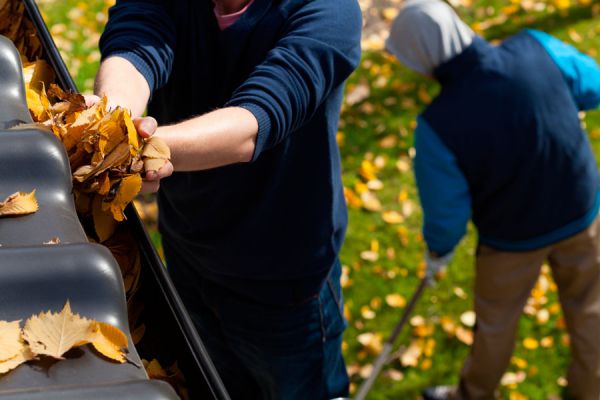Cómo preparar el hogar en otoño. Mantenimiento del jardín en otoño. Tareas para mantener la casa en condiciones para el otoño
