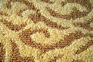Ilustración de Cómo proteger las alfombras de las polillas