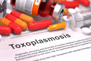 Ilustración de Cómo evitar la toxoplasmosis