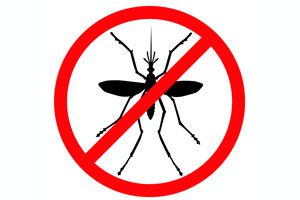 Ilustración de Cómo hacer un Repelente casero para Mosquitos