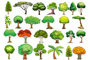 Ilustración de Como elegir árboles según sus colores