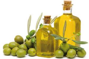 Ilustración de Cómo reconocer la variedad de aceites de oliva