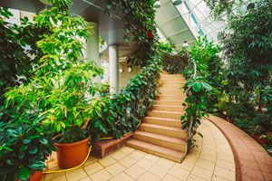Plantas para dividir espacios del hogar. Como dividir ambientes del hogar utilizando plantas. Plantas divisoras de ambientes Plantas para dividir espacios del hogar. Como dividir ambientes del hogar utilizando plantas. Plantas divisoras de ambientes
