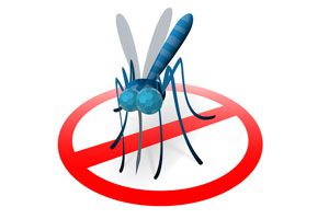Ilustración de Cómo ahuyentar a los mosquitos con productos naturales