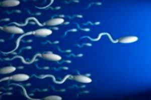 Ilustración de La creación de esperma fértil, gran hallazgo para el tratamiento de infertilidad