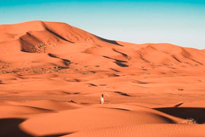 Ilustración de Dormir entre las dunas del desierto de Marruecos y bajo las estrellas